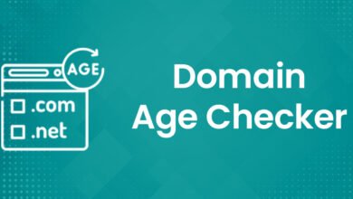 Domain Age Checker