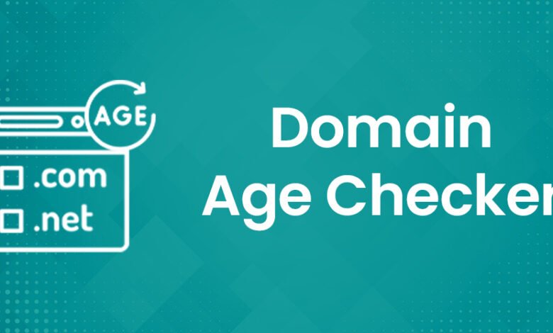 Domain Age Checker